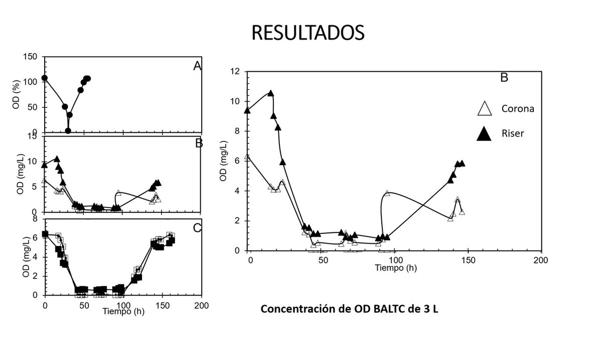 ITP148 - Producción de Pectinasas por Aspergillus flavipes FP-500 en Cultivo Sumergido con Cásca…