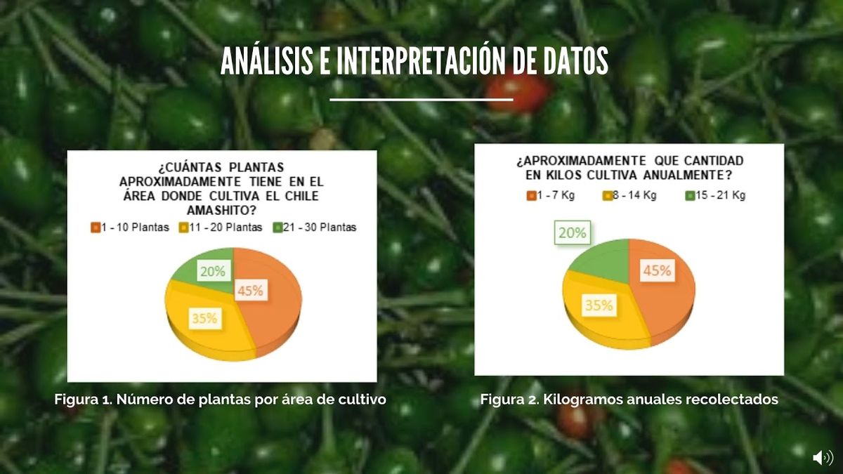 TAB024 - Proceso para la Exportación del Chile Amashito Tabasqueño en su Forma Natural, a Centroa…