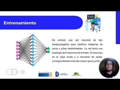 CDX262 - Sistema De Reconocimiento De Frutas Deshidratadas Utilizando Un Sistema De Inferencia Dif…