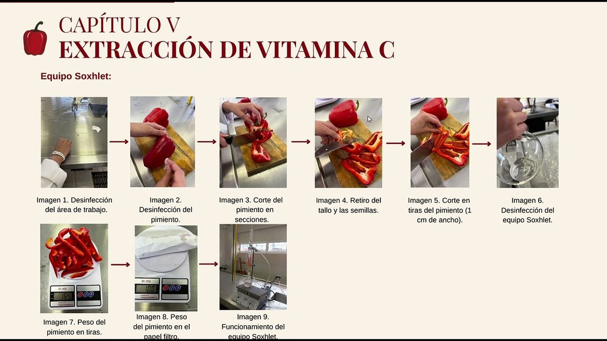 ITG024- Extracción  de  Vitamina C para Elaborar Sérum Facial  a Partir del Pimentón (Capsicum A…