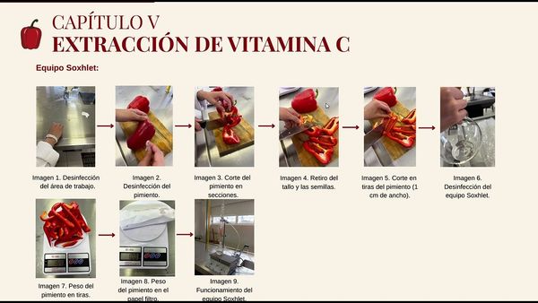 ITG024- Extracción  de  Vitamina C para Elaborar Sérum Facial  a Partir del Pimentón (Capsicum A…