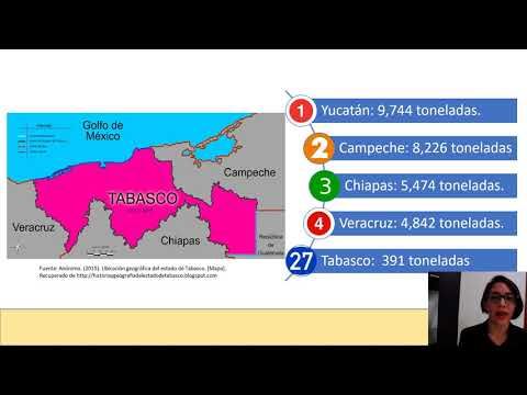 H512 - LA PRODUCTIVIDAD DEL SECTOR APÍCOLA DEL MUNICIPIO COMALCALCO, TABASCO, PARA EL DISEÑO DE U…