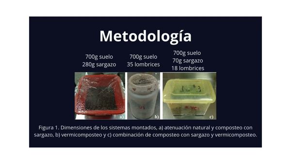 AJA041 - Remediación de un suelo contaminado con hidrocarburos fracción pesada utilizando la comb…