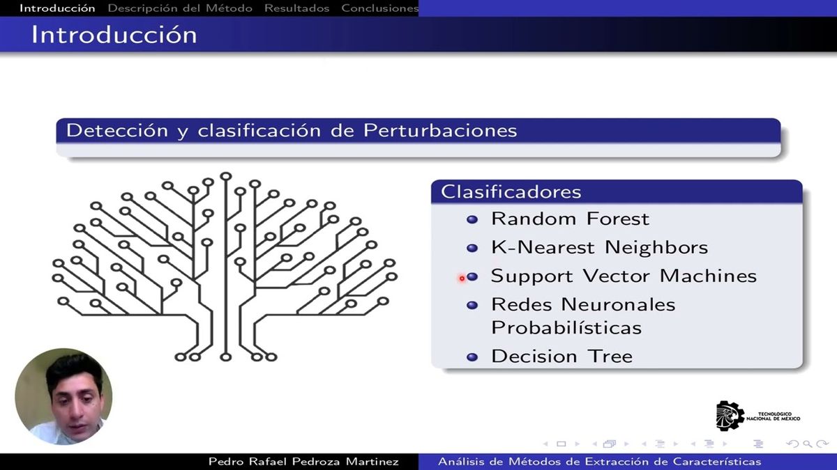 MLA092 - Análisis de Métodos de Extracción de Características para la Detección de Perturbaci…