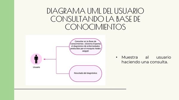 LSM023 - Diseño de un Sistema Experto para el diagnóstico de enfermedades producidas por el mosqu…