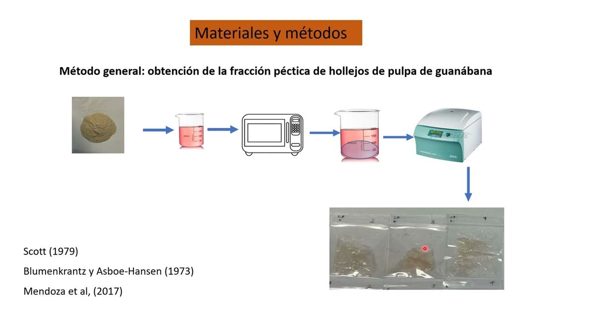 HLG233 - Extracción Ácida de Biopolímeros de Guanábana (Annona muricata) Asistida por Energía…