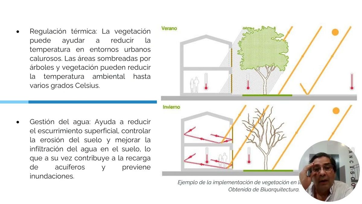 CPS045 - La Vegetación como Estrategia de Diseño Bioclimático: Muestrario con Vegetación de la…