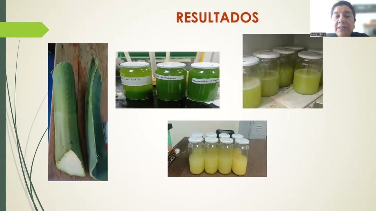 INT063- Estudio de Conservación Química del Extracto del Agave marmorata # Integralia 2025