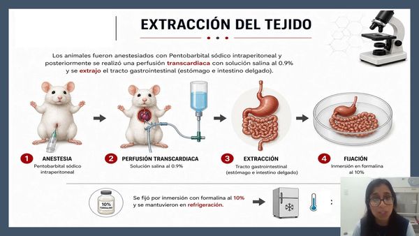 CHE029- DETERMINACIÓN DEL DAÑO COLATERAL EN EL TRACTO GASTROINTESTINAL # Chetumal 2026
