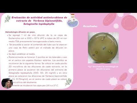 HLG247 - Evaluación de Actividad Inmunológica de Extractos Verbena bipinnatifida y Selaginella le…