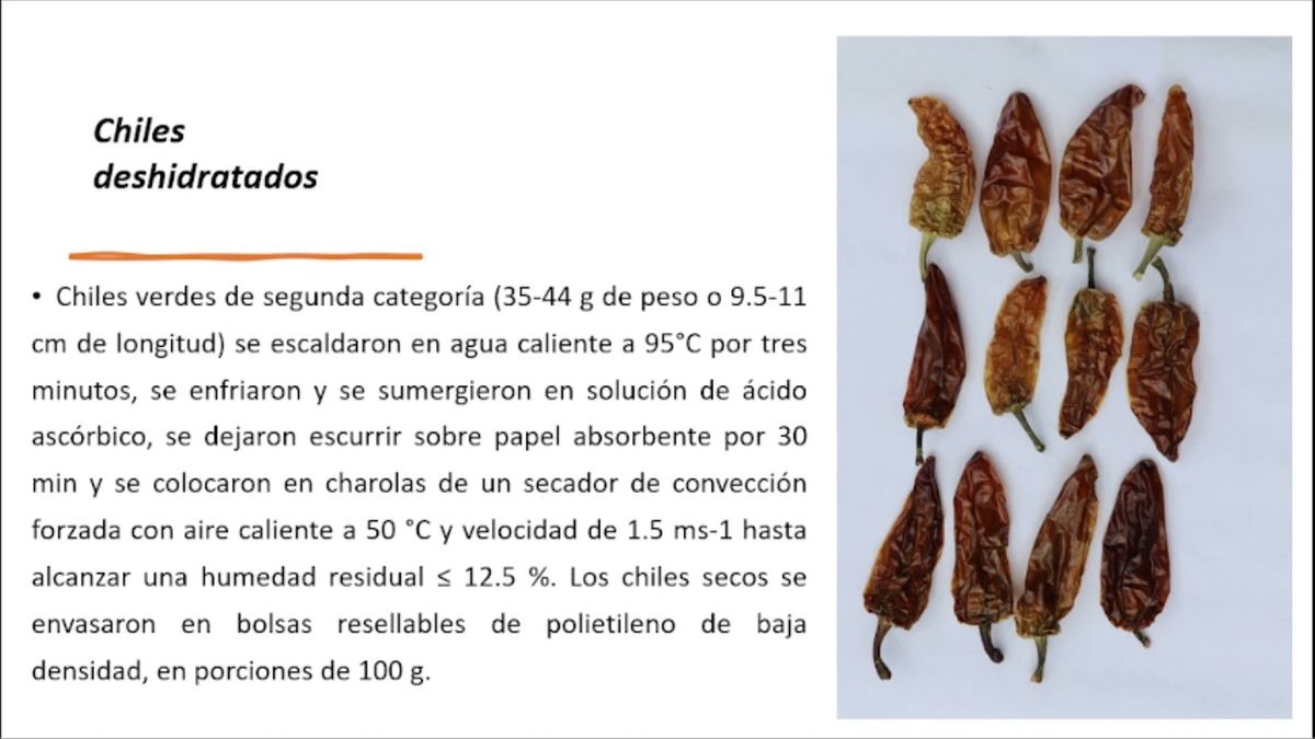 OAX058 - Estrategias para Impulsar el Sistema Productivo de Chile de Agua en los Valles Centrales d…