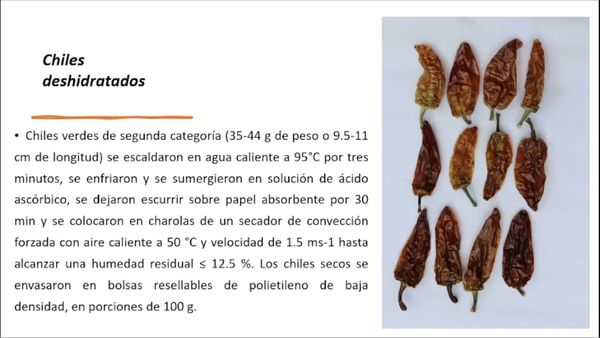 OAX058 - Estrategias para Impulsar el Sistema Productivo de Chile de Agua en los Valles Centrales d…