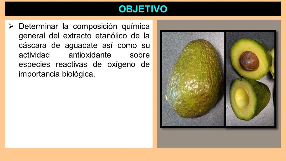 MOR227 - Caracterización Química y Evaluación de la Actividad Antioxidante del Extracto Etanóli…