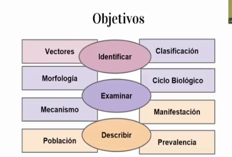 INT133- Contaminación con huevos de Toxocara spp. en parques públicos de la zona conurbada Zacate…