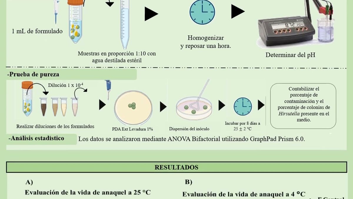 MOR165 - Formulación y Vida de Anaquel de Conidios de Hirsutella citriformis Speare