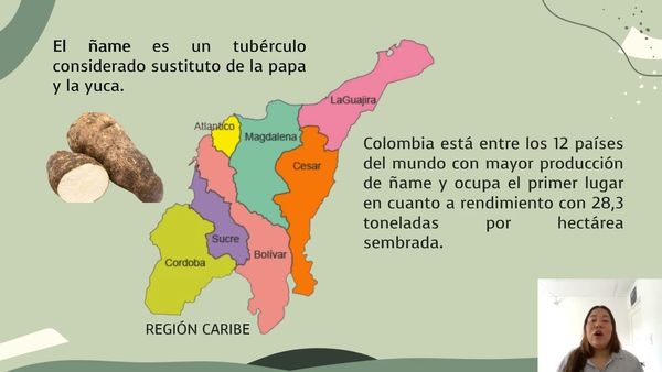 LSM044 - Estudio de las Prácticas de Almacenamiento de Ñame y su Impacto en los Atributos de Cali…