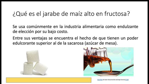 HID451 - Ingesta de Jarabe de Maíz Alto en Fructosa y su Impacto en la Génesis del Sobrepeso y Ob…