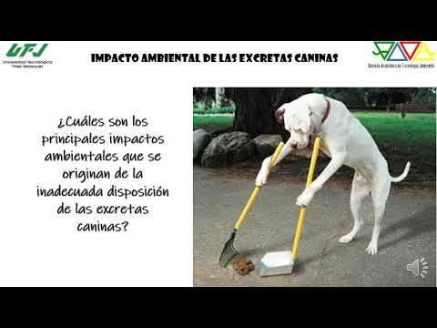 H191 - DETERMINACIÓN DE LA GENERACIÓN DE EXCRETAS CANINAS EN ZONAS URBANAS DEL ESTADO DE MÉXICO