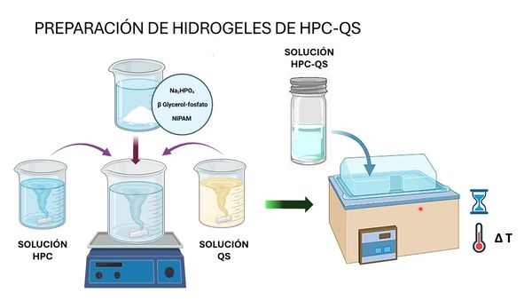 HDG318 - Hidrogeles Inyectables de Hidroxipropil Celulosa y Quitosano para Regeneración Ósea