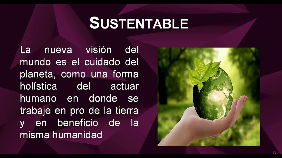 HID152 - “Cafetería María y José”: Empresa Ecológica Comprometida con el Medio Ambiente