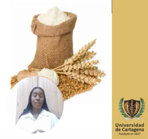 ABR034- Potencial Tecnológico de la Harina de Ñame (Dioscorea spp.) como Sustituto Parcial de Har…