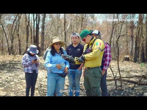 CHE206- Uso de sensores LiDAR para estimar variables de dosel en bosques templados de Nanacamilpa, …
