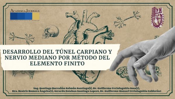 CTM194 - Desarrollo del Túnel Carpiano y Nervio mediano por Método del Elemento Finito