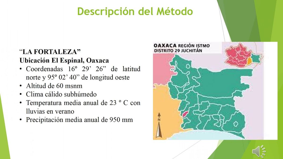 T003 - EVALUACIÓN DE MICORRIZAS ARBUSCULARES EN LA PRODUCCIÓN DE JITOMATE CRIOLLO SOLANUM LYCOPER…