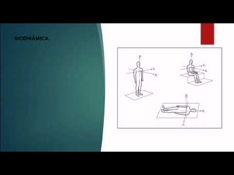 F155 - Afectación en el cuerpo humano de las vibraciones y el ruido