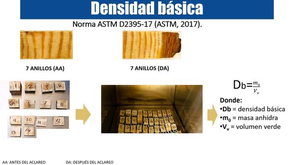 CIP075- Relación entre la Densidad Básica y la Composición Química de la Madera de Pinus cooper…