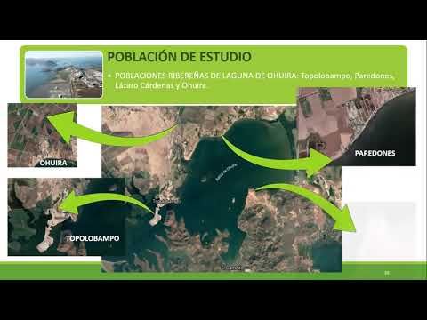 PUE077 - La percepción social de las comunidades costeras en el marco de la construcción y operac…