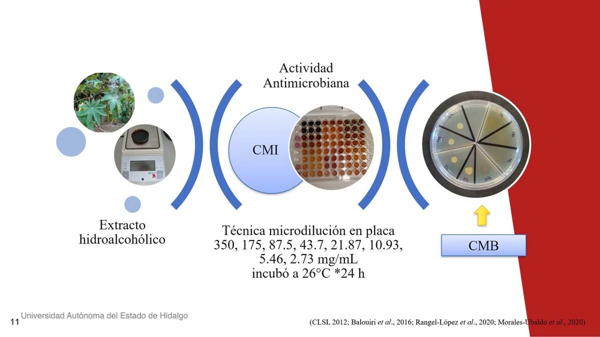 HHH118 - Evaluación de la actividad antibacteriana del extracto hidroalcohólico de hojas de Rici…