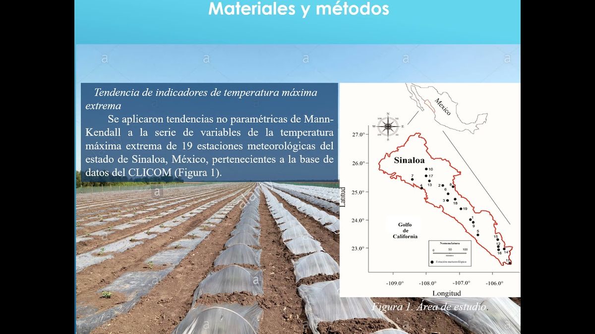 HID187 - Análisis de Efectos de Indicadores de Temperatura Máxima Extrema en el Estado de Sinaloa