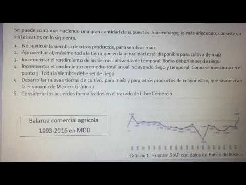 H350 - EL MAÍZ Y SU TRASCENDENCIA ALIMENTARIA, SOCIAL Y ECONÓMICA EN MÉXICO