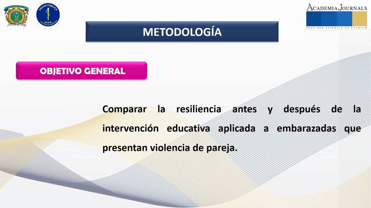 HLG164 - Intervención Educativa para la Resiliencia en Embarazadas con Violencia de Pareja, Hospit…