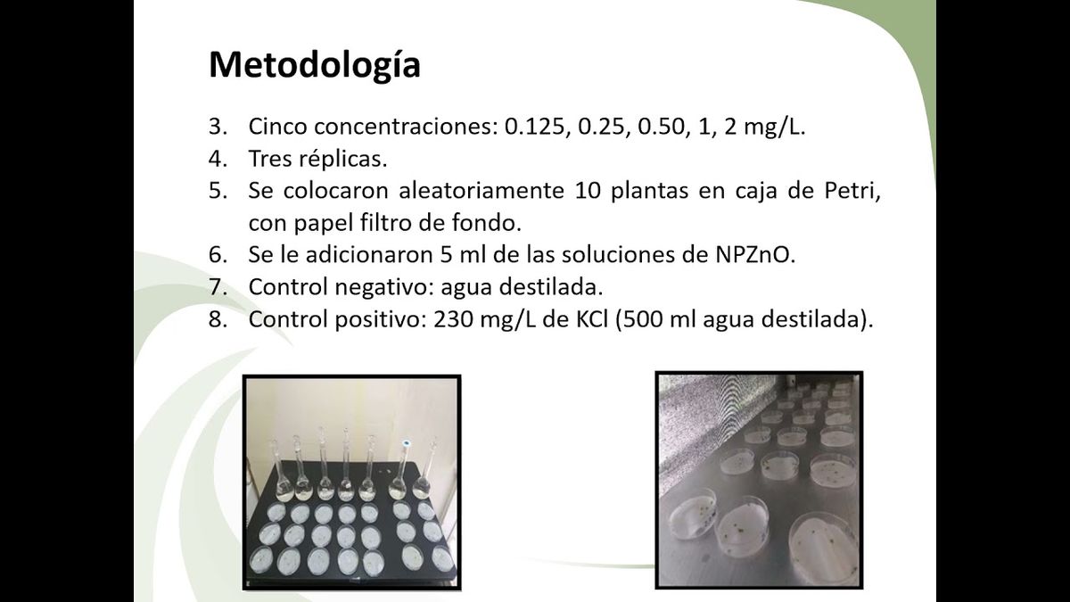 CLY460 - Análisis Estadístico Probit en la Determinación de la Mortalidad de Lemna minor por Efe…