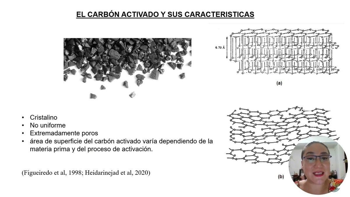 CHM096 - Evaluación y Determinación de la Eficiencia de Carbón Activado Obtenido de Cáscaras d…