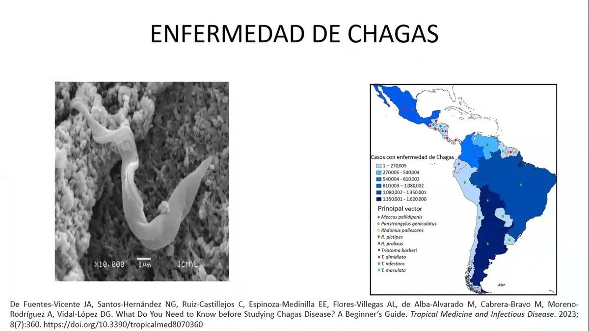 MTR027 - Coinfección de Trypanosoma cruzi de Pacientes Seropositivos a Patógenos en Sueros de Pac…