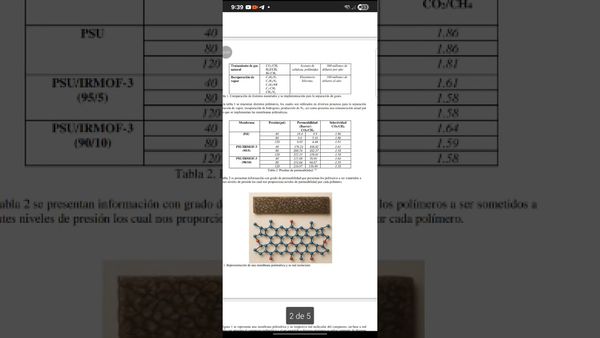 ZTP070 - Membranas polimericas para la separacion de gases