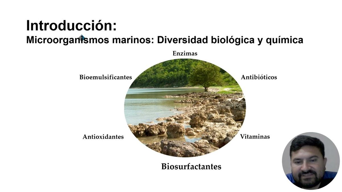 CHS126 - Impacto de las Condiciones de Cultivo Planctónico y Sésil en la Biosíntesis de Lipopép…