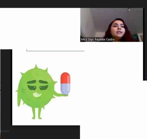 HDG311 - Resistencia de Salmonella spp a antimicrobianos