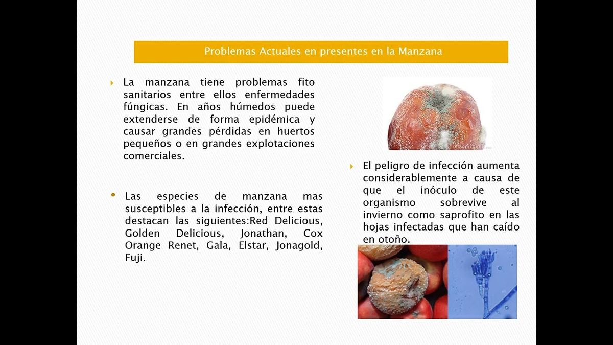 ITP100 - Efecto de la Aplicación de Biopelículas Electrohiladas de Grenetina en la Vida Útil de…