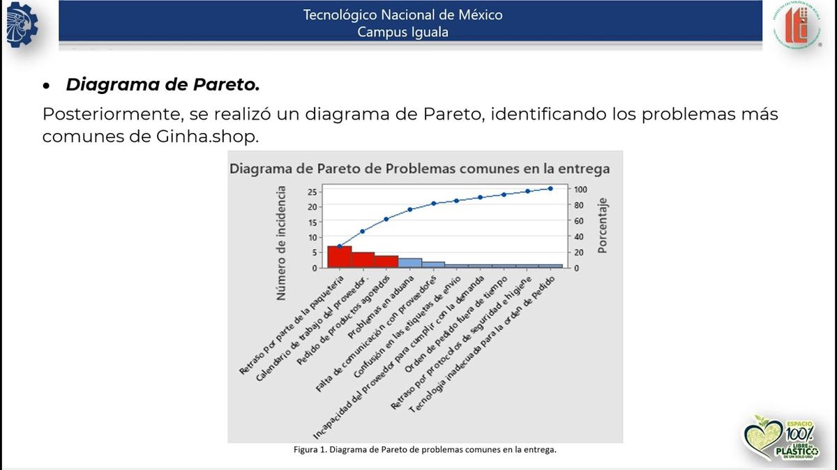 MOR192 - Análisis de Problemas de Entrega de los Pedidos a una Tienda de Accesorios a través de l…