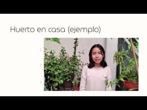 MED063 - Eco-Conciencia: Iniciativas Sustentables, que Permiten Enfrentar los Desafíos Ambientales…