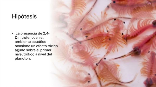 CTM159 - Evaluación del Efecto Tóxico del 2,4-Dinitrofenol en Artemia salina