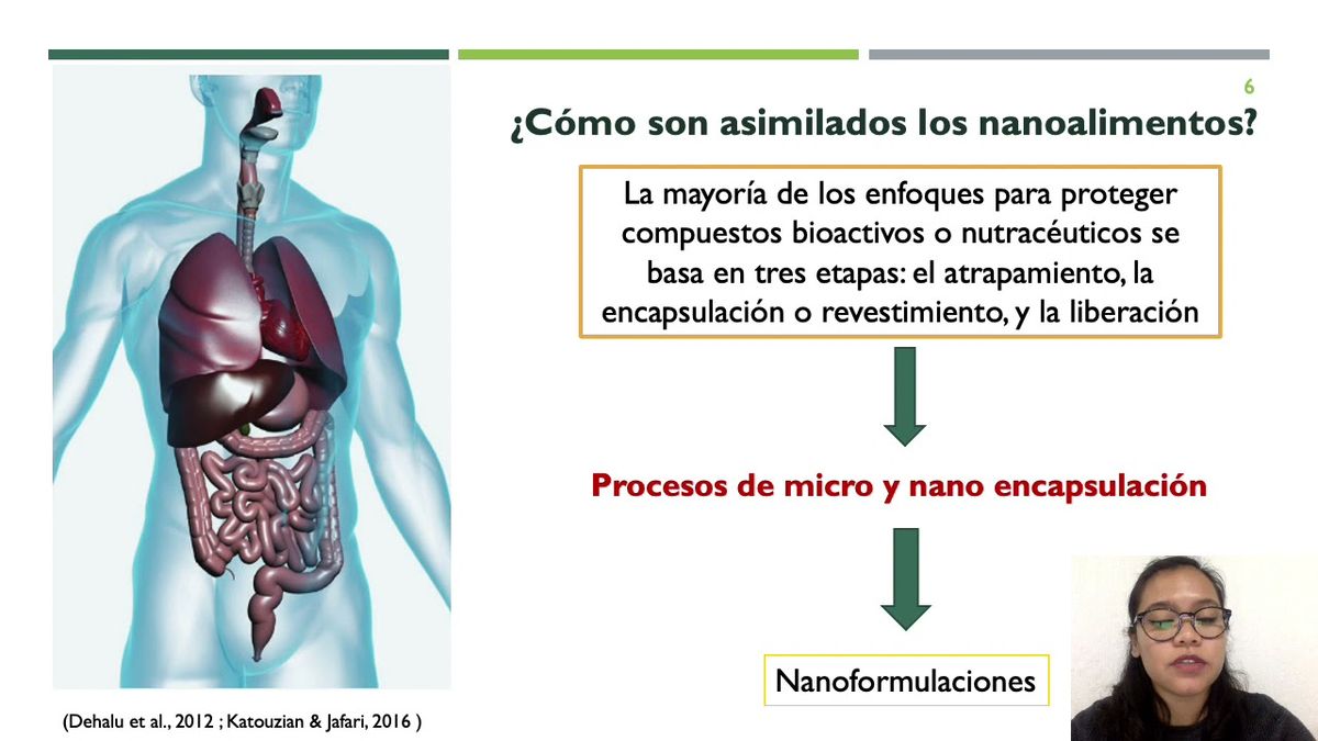 HID384 - Perspectivas de la Nanotecnología Aplicada en la Obtención de Portadores de Principios B…