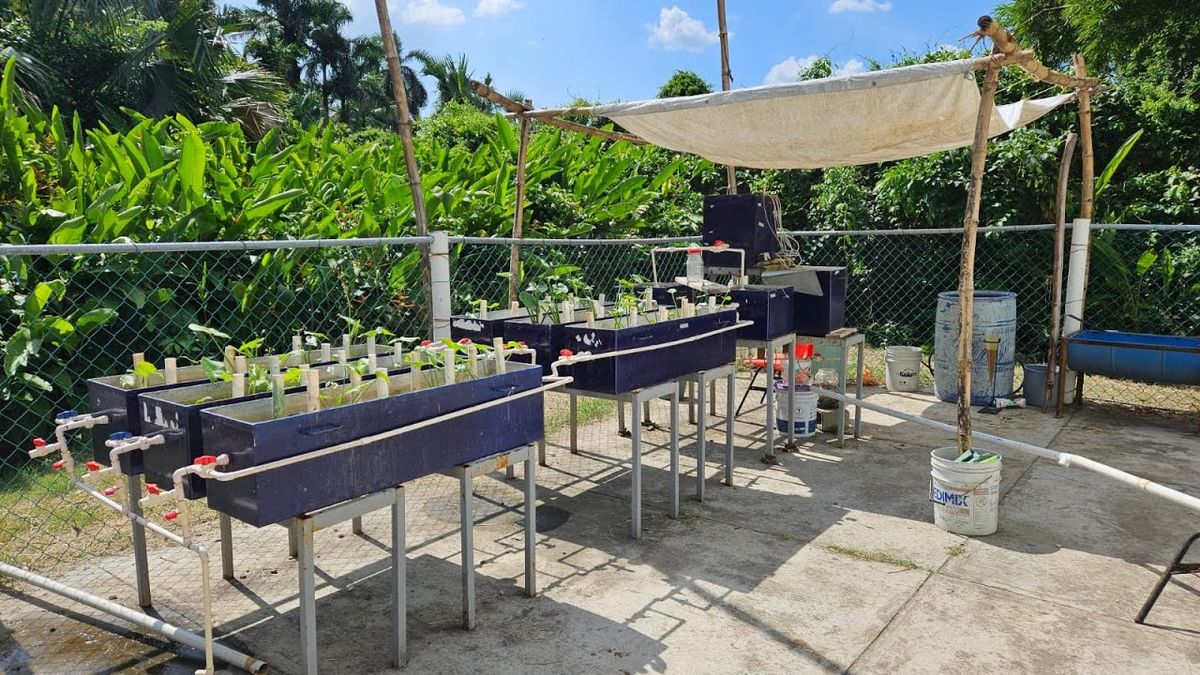 MED242 - Tratamiento de efluentes domiciliarios en un Reactor Discontinuo Secuencial (SBR) y Humeda…