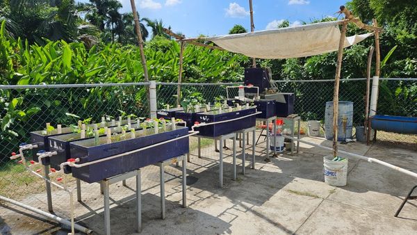 MED242 - Tratamiento de efluentes domiciliarios en un Reactor Discontinuo Secuencial (SBR) y Humeda…