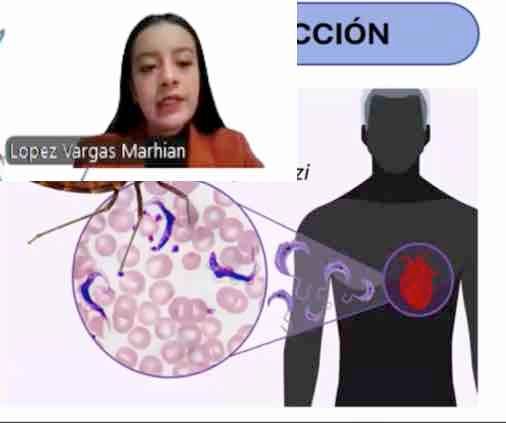 CMx123 - Comportamiento de la Bioquímica sanguínea en infección aguda de Trypanosoma cruzi en mo…