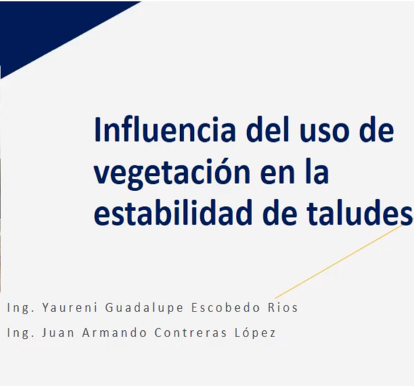 INT030- Influencia del Uso de Vegetación en la Estabilidad de Taludes